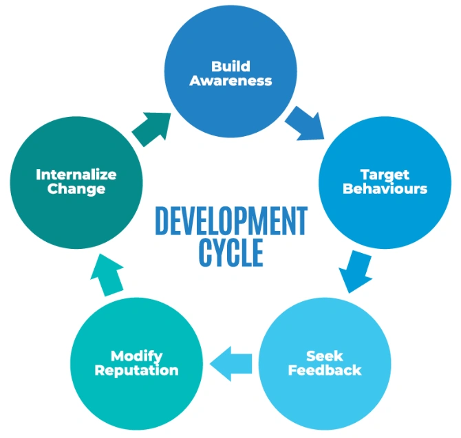 Development Cycle